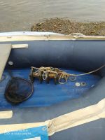 Лот: 16480576. Фото: 4. Mercury 25M Sea Pro + Солар 450... Красноярск