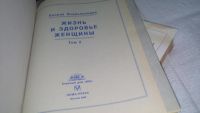 Лот: 10888417. Фото: 3. Жизнь и здоровье женщины. Большая... Литература, книги