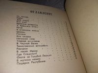 Лот: 13913238. Фото: 2. вб/oz(3092323)Бляхин П.А., Красные... Литература, книги