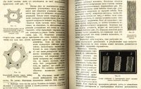 Лот: 17970076. Фото: 10. В.Палладин . Курс ботаники.* 1900...