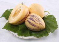 Лот: 4335936. Фото: 5. Плод пепино. Родня помидора со...
