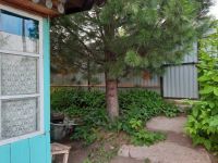 Лот: 14111844. Фото: 4. продам дачу в Сорокино. Красноярск