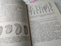 Лот: 18485334. Фото: 13. Халифман И. Пароль скрещенных...