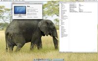 Лот: 1178300. Фото: 3. apple imac 24" os x lion цена... Компьютеры, оргтехника, канцтовары