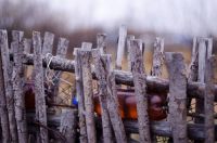 Лот: 14726887. Фото: 6. Nikon Nikkor-S Auto 1.4 Ai