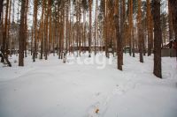 Лот: 25294392. Фото: 22. 5-комн. и более дом , садоводческое...