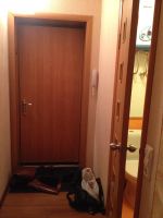 Лот: 9973385. Фото: 4. Сдам 1 комнатную квартиру, ул... Красноярск