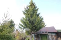 Лот: 25319967. Фото: 8. 2-комн. дача , садоводческое некоммерческое...