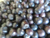 Лот: 14387955. Фото: 2. Черноплодная рябина свежая ягода. Продукты