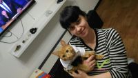 Лот: 7765207. Фото: 4. Одежда, рубашка для кота/собаки. Красноярск