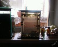 Лот: 104573. Фото: 2. Аквариум. Аквариумистика