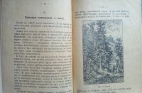 Лот: 25078947. Фото: 8. Тайга и тундра. В.Лункевича...