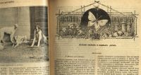 Лот: 15311384. Фото: 18. Мозаика . Иллюстрированный журнал...