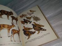 Лот: 12037135. Фото: 5. Oz. Охотничье-промысловые звери...