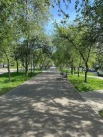 Лот: 25403437. Фото: 15. 3-комн. квартира , Красноярск...