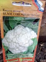 Лот: 9662872. Фото: 4. Капуста ранняя, поздняя рассада. Красноярск