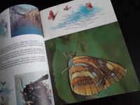 Лот: 24846491. Фото: 4. Синий махаон - книга об удивительных... Красноярск