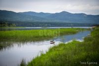 Лот: 25674657. Фото: 18. 1-комн. дача , СНТ Дорожник-2...