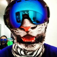 Лот: 6274225. Фото: 5. Балаклава V ARC Snow Tiger - в...