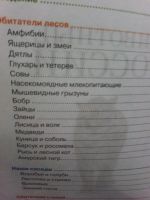 Лот: 19685643. Фото: 2. энциклопедия "Животные России... Детям и родителям