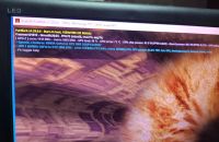 Лот: 19122571. Фото: 7. Видеокарта Gigabyte Geforce GTX...