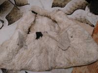 Лот: 13472854. Фото: 3. Тулуп. Туризм, охота, рыбалка, самооборона