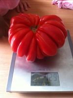 Лот: 10527633. Фото: 3. Семена экзотических томатов. Для дачи, дома, огорода, бани, парка