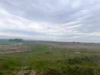 Лот: 25290274. Фото: 4. участок , деревня Терентьево деревня... Красноярск