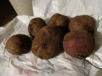 Лот: 13297951. Фото: 4. Свекла и другие овощи со своего...