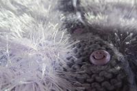 Лот: 3382473. Фото: 3. костюм на малыша суперский мягкий... Дети растут