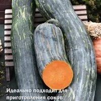 Лот: 11256882. Фото: 2. Тыква мускатная Семейная. Супер... Семена, рассада, садовые растения