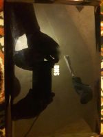 Лот: 8018267. Фото: 3. Нет бук dns. Компьютеры, оргтехника, канцтовары