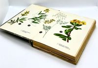 Лот: 24257129. Фото: 3. 📗 А. Махов. Зелёная аптека. Лекарственные... Литература, книги