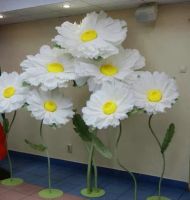 Лот: 13277305. Фото: 4. Франшиза "Ростовые цветы своими... Красноярск