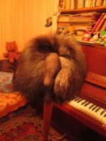 Лот: 3448206. Фото: 2. Шапка чернобурка. Только эти 2... Женская одежда