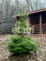 Лот: 25295086. Фото: 15. 2-комн. дача , СНТ Ветеран-9 СНТ...