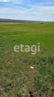 Лот: 25294637. Фото: 5. участок , деревня Погорелка деревня...