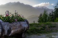 Лот: 11548288. Фото: 3. Sony F3 тушка. Фото, видеокамеры, оптика