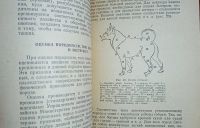 Лот: 24890281. Фото: 6. Охотничье собаководство.* 1957...