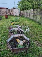 Лот: 25527478. Фото: 12. 1-комн. дом , садоводческое некоммерческое...