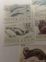 Лот: 19705521. Фото: 4. Марки СССР. 1971 г. Фауна. Обитатели...