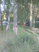 Лот: 16138222. Фото: 21. Продам 3 ком.квартиру. Рыбинский...