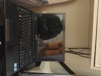 Лот: 16422176. Фото: 2. ноутбук на i5,5gb,WD500gb с рубля... Компьютеры, ноутбуки, планшеты