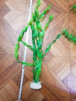 Лот: 15553932. Фото: 4. Аквариумные искусственные растения. Красноярск