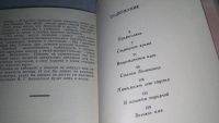 Лот: 9415990. Фото: 3. Наш Белинский, Петр Максяшев... Литература, книги