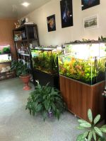 Лот: 25885488. Фото: 8. Продается студия аквариумного...