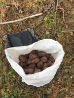 Лот: 19450784. Фото: 2. Кедровый орех. Продукты