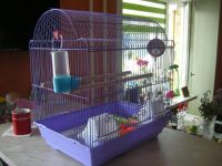 Лот: 4219466. Фото: 2. Клетка для попугая (большая... Животные и уход