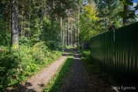 Лот: 25674657. Фото: 16. 1-комн. дача , СНТ Дорожник-2...