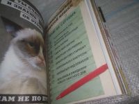Лот: 25431422. Фото: 8. вб(4092360)Grumpy Cat . Сердитая...